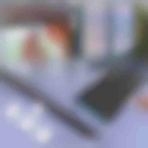 Слънцезащитна щора за автомобил и прозорец | SUNGUARD