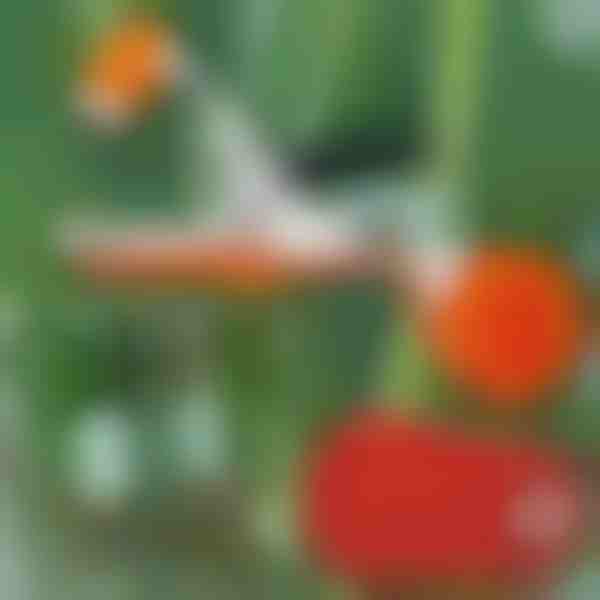 Професионален телбод за растения | PLANTBRAND