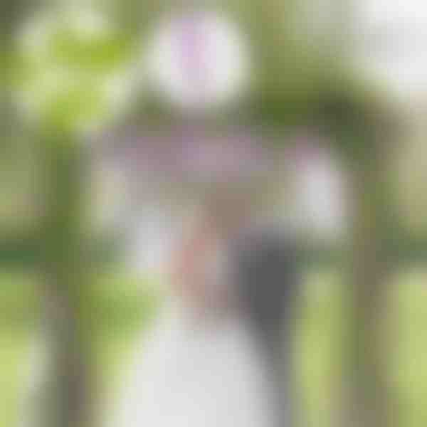 Клонка Глициния Цветна лоза | WISBLOOM