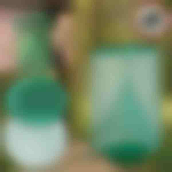 Висящ Капан за Мухи и Насекоми за Многократна Употреба | INSECTA