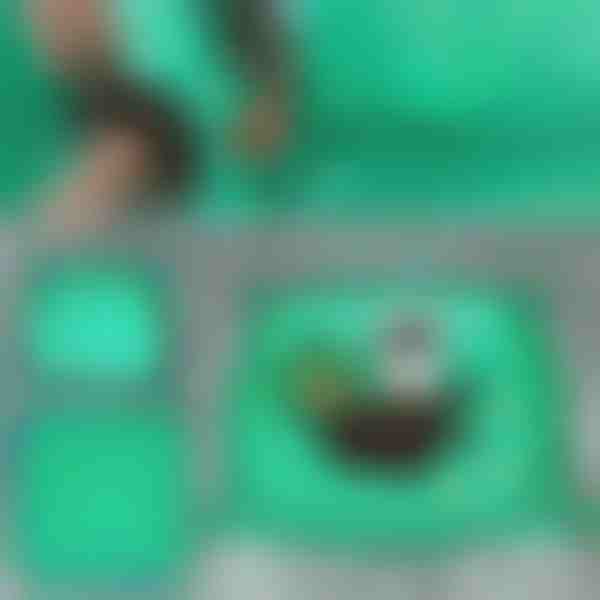 Подложка за Пресаждане на Растения | FLORAMAT