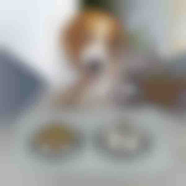 Постелка за Хранене на Домашни Любимци | KIBBLEMAT