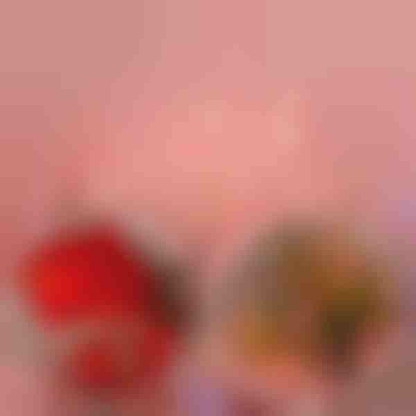 Светодиодни лампички рози (2 м) | LUMEROSE