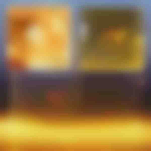 (3x2M) Празнична LED светлинна мрежа | LUMONET