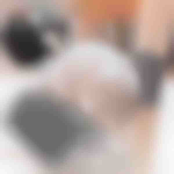 Четка за самостоятелна грижа за котки (2 бр.) | PURRCORNER