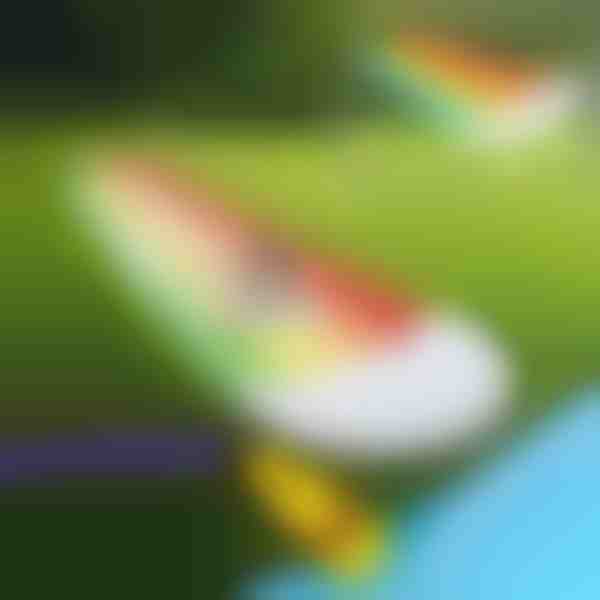 Надуваема водна пързалка (465x80cm) | REEFLY