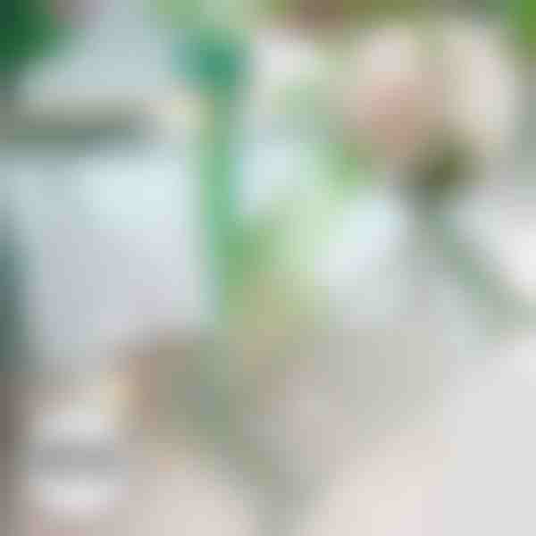 Спирачка за падане на растения | ROOTZI