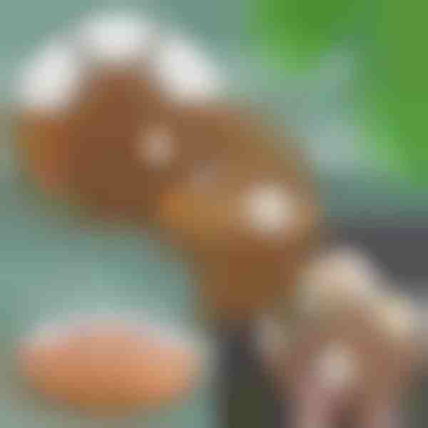 Комплект за сервиране на закуски | SNACKPLATTER