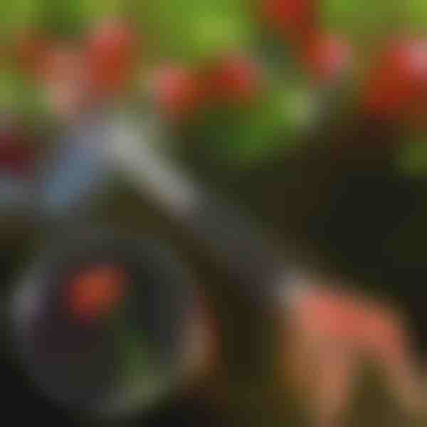 Ножици за подрязване на дървета | TREESNIP