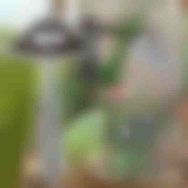 Градинска мотика за лесно премахване на плевели | GRASSOE