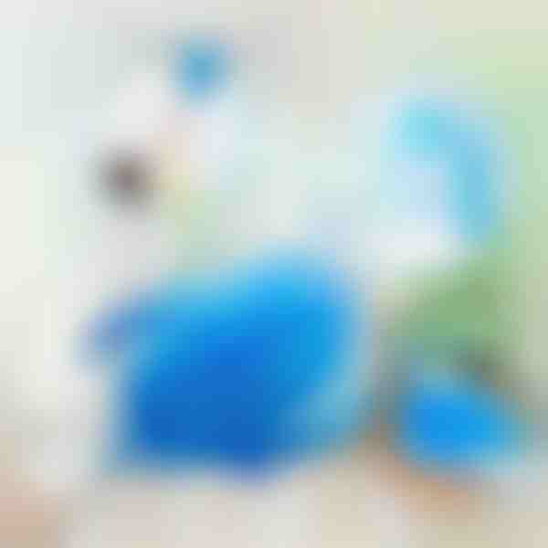 Електрическа Четка за Почистване на Прах с 360 завъртания | DUSTER