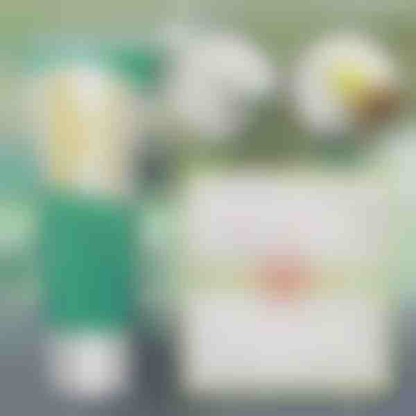 Решение за незабавен ремонт на стени | WALLFIX