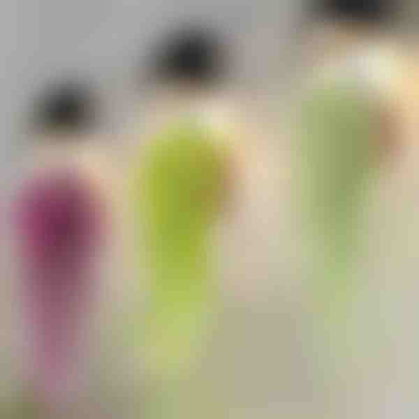 Декоративно растение с висулка | IVYORA