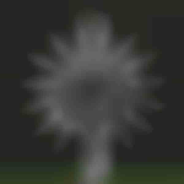 Градинска магическа кинетична вятърна въртележка| WINDARA