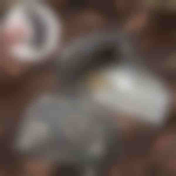 Камък за скриване на ключове | KEYBLEND