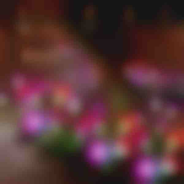 Соларни градински цветни светлини | BLOSSUN