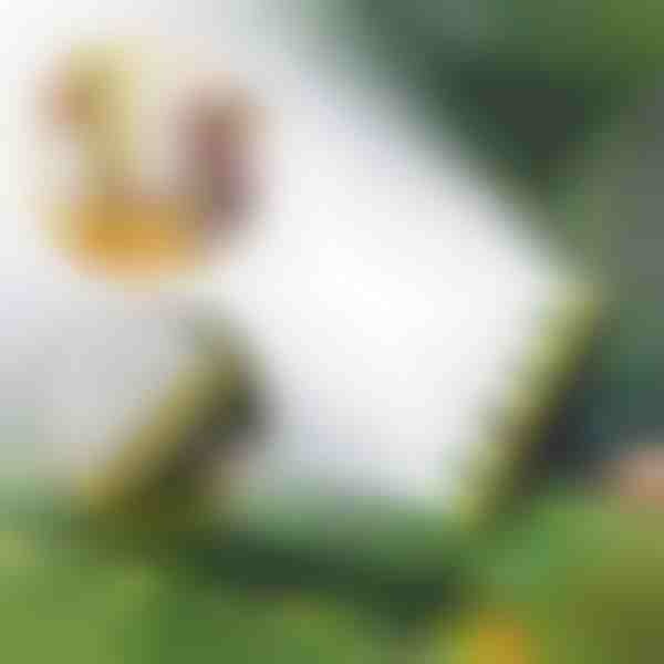 Разпръсквач с няколко дюзи за маркуч | SPRAYMASTER