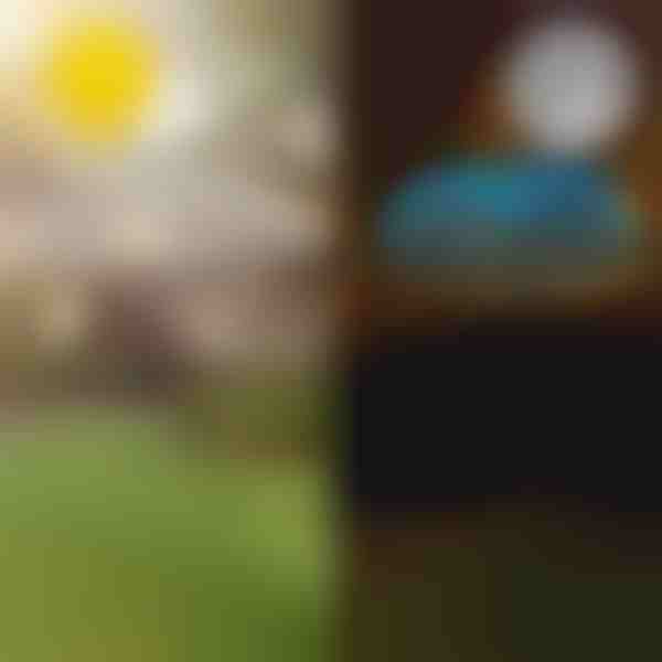 Соларни тропически градински светлини | LUMIPALM