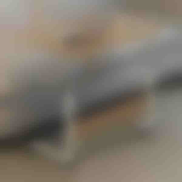 Преносима маса | EVOSTUL