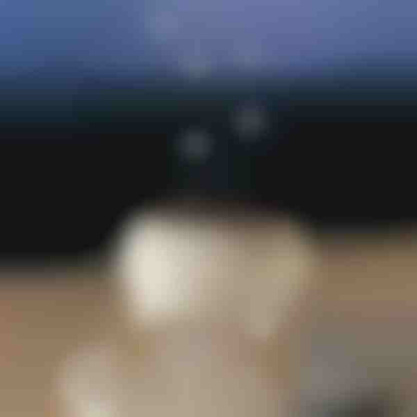 Успокояващ ароматен дифузер | MEDUSAMIST